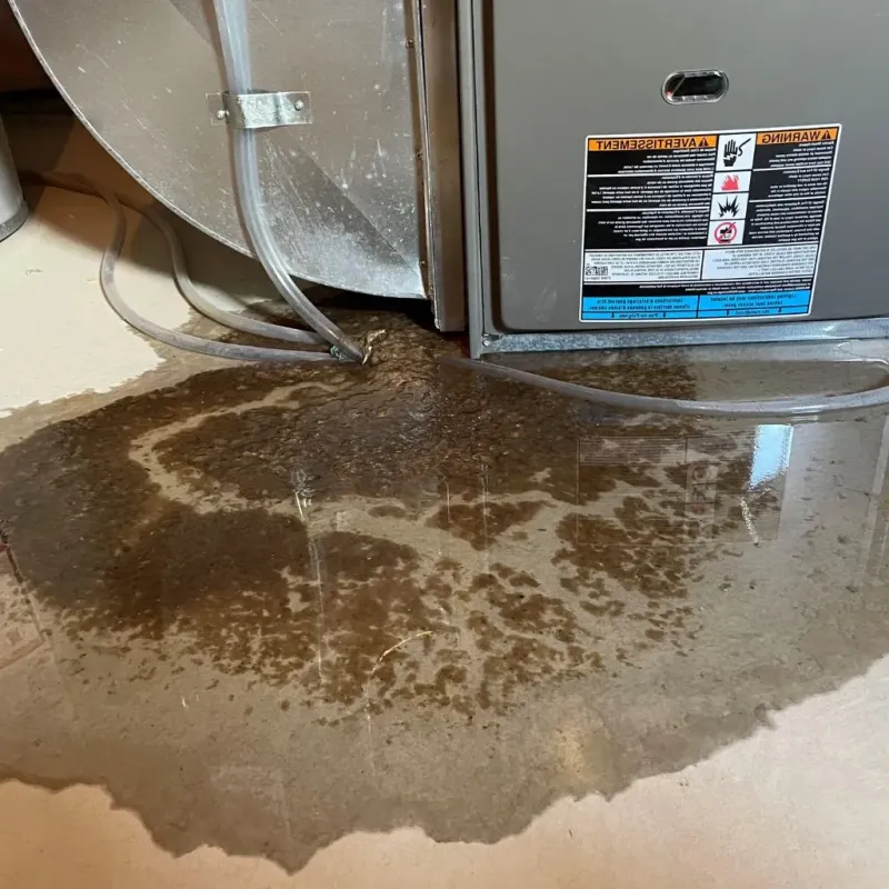 Pipe Burst and Leak Restoration in East Orange, NJ
