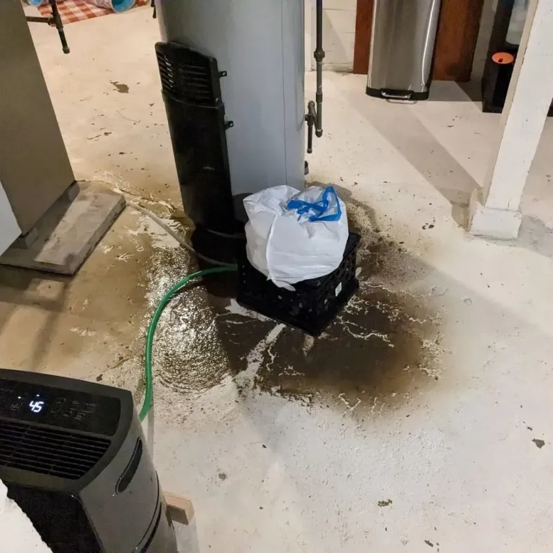 Sewage Backup Cleanup Service in East Orange, NJ